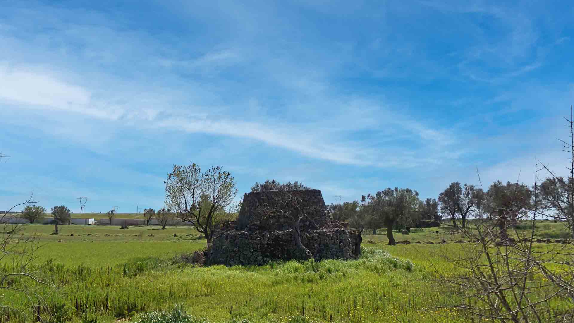 Campagne Galatina